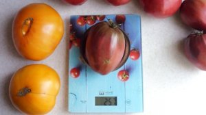 Томат Чёрное сердце с носиком от Борисовны - вкусный и урожайный сорт чёрных томатов!