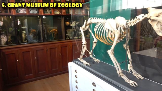 10 Weird Things to Do in London смотреть онлайн