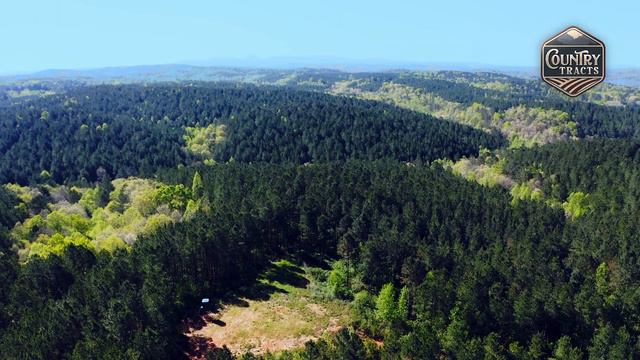 Countrytracts.com| Wildcat Parcel 5 - Property Tour | North Ga Land For Sale | Abundant Wildlife смотреть онлайн
