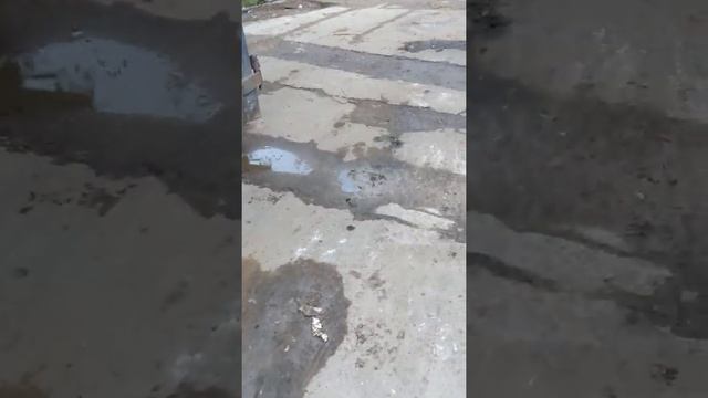 Собянинская реновация. смотреть онлайн