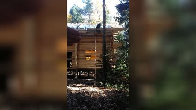 Строительство сруба в Архызе. смотреть онлайн