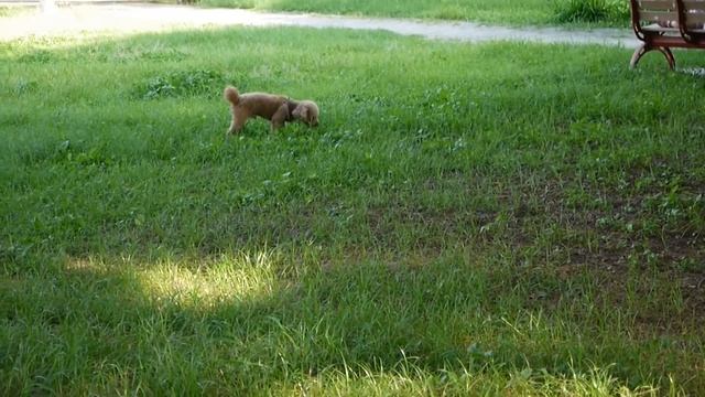 Panasonic DMC-GF5X  錄影實測