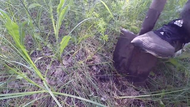 НАШЛИ ГОРУ МЕТАЛЛА КОПАЮ ВТОРЫЕ СУТКИ КОП МЕТАЛЛОЛОМА В ПОЛЕВОМ СТАНЕ