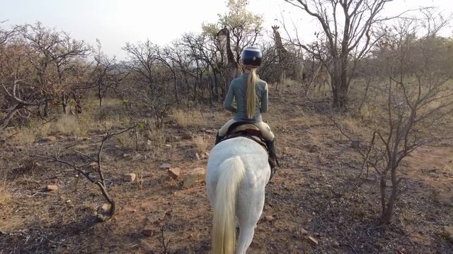 SOUTH AFRICA HORSE RIDING SAFARI HOLIDAY! смотреть онлайн