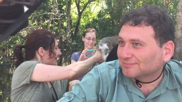 Амазонский Ленивец смотреть онлайн