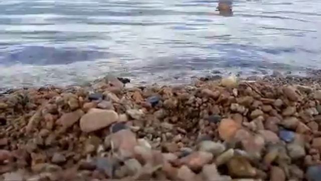 Озеро Щучье. Щучка смотреть онлайн