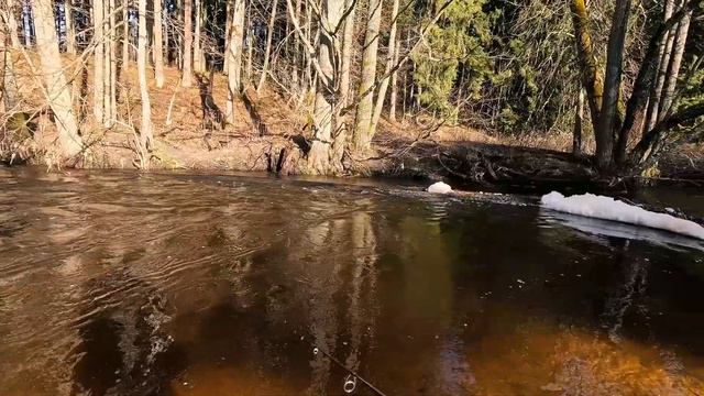 Trout Seasons #02 - рыбалка на дикую форель. смотреть онлайн