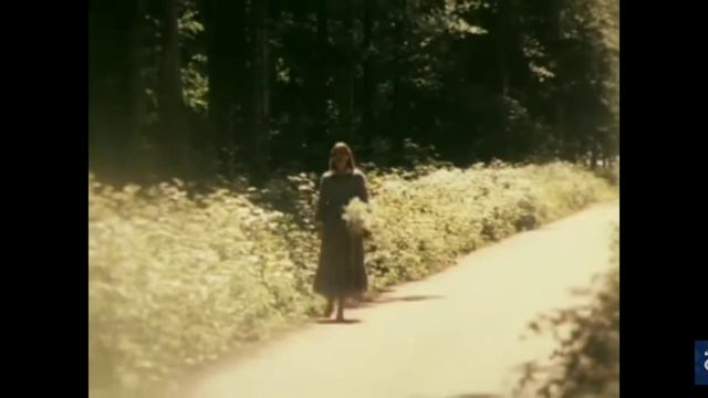 Людмила Сенчина "Полевые цветы" смотреть онлайн