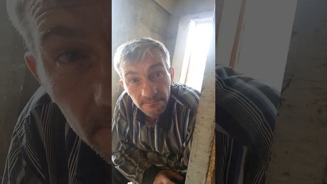 Маленький мул слегка пьян смотреть онлайн