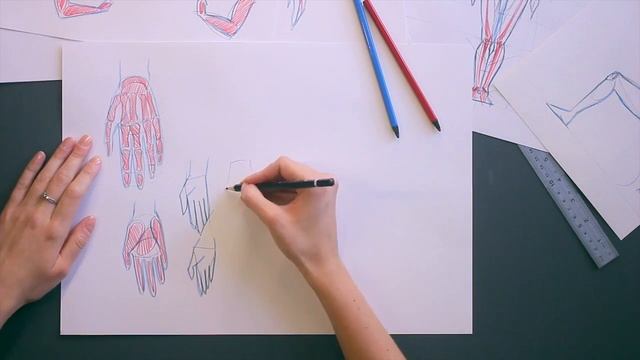 Как рисовать кисть руки смотреть онлайн