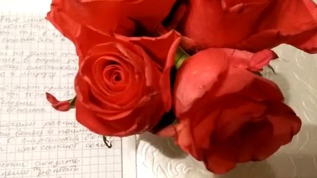 христианские стихи Mamas Gedicht 6 - Biblische Geschichte - библейский рассказ о женщине (russisch смотреть онлайн