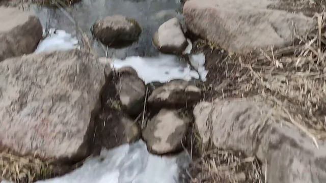 Укладка, маникюр и шуба! Чувствую себя женщиной) Заплыла жиром...Пора действовать! смотреть онлайн