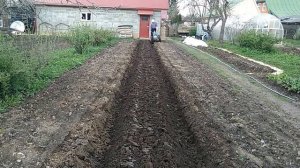 Мотоблок МТЗ-12 весенняя вспашка в свал.