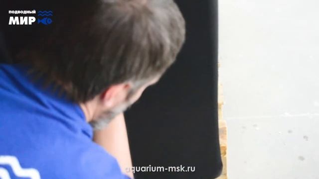 ? Поклейка защитно-декоративной плёнки на заднюю стенку аквариума смотреть онлайн