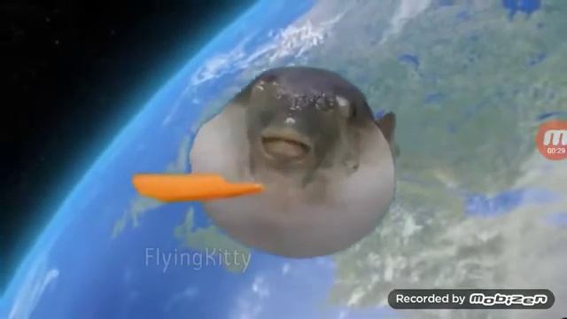 песня рыбы фугу смотреть онлайн