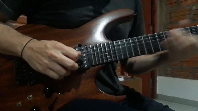 Ozzy Osbourne - Mama I'm Coming Home solo cover. смотреть онлайн