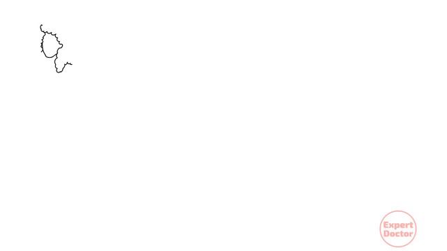 Shelcal Tablet Calcium With Vitamin D3 Tablets | Shelcal 500 Tablet Uses in Hindi смотреть онлайн