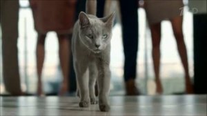 Реклама Шеба   Сопротивление бесполезно   Октябрь 2018