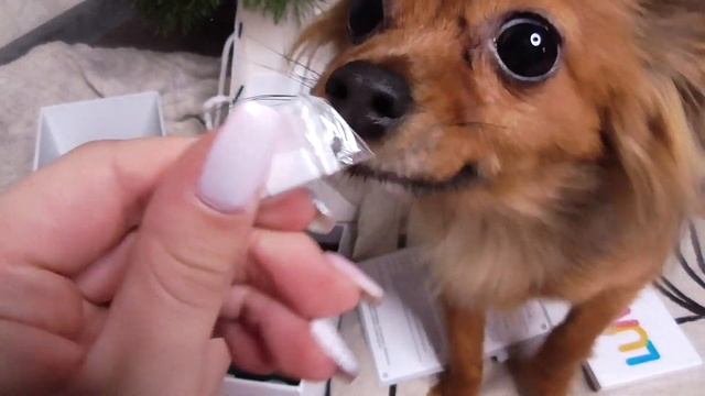 Обзор|Проектор LUMICUBE | Мы в Восторге! смотреть онлайн