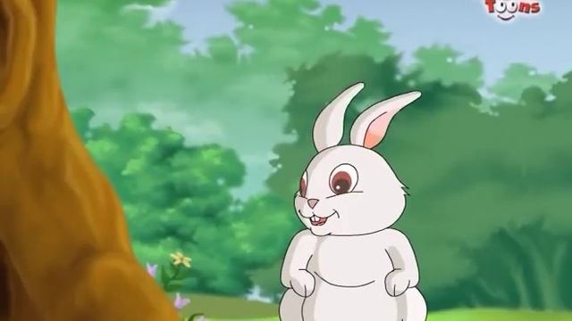 sasa re sasa ससा रे ससा | Sasa Kasav | Hair & Tortoise Marathi JingleToons смотреть онлайн