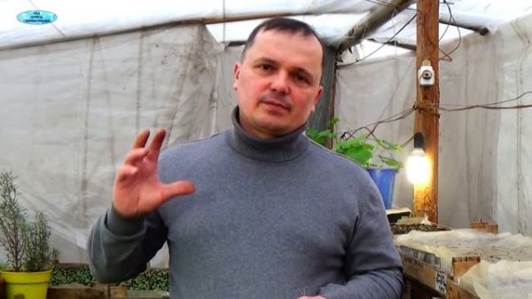 РАДИФАРМ - плюсы и минусы. Моё личное мнение. Как правильно его применять?