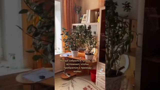 ПАУЛ ЛИБО ПРОСТО ПАША НИКИТА УДАНОВСКИЙ смотреть онлайн