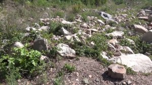 Самородки и алмазы в горах