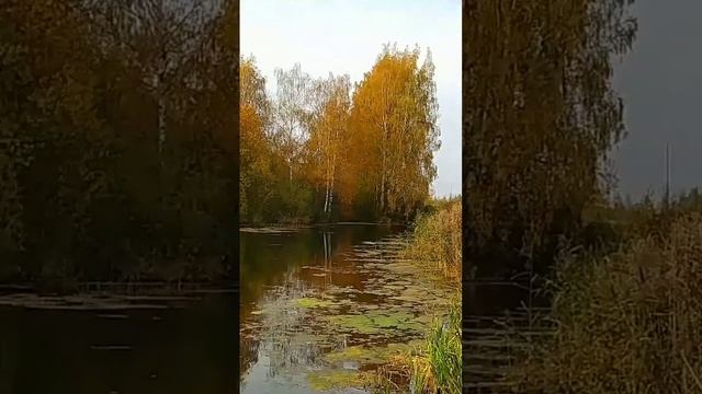 "Есть в осени первоначальной..." Ф. Тютчев смотреть онлайн