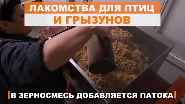 Производство сухих кормов и лакомств смотреть онлайн