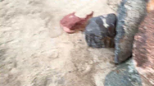 СУРОВЫЙ БАЛТИЙСКИЙ КОП|Металлоискатель ВГРЫЗАЕТСЯ в пляж|Metal Detecting