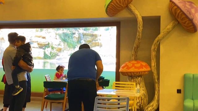 #zoo #zoopark #funny #forkids #usakids #kidstv #длядетей Baku zoo park / animal park in baku смотреть онлайн