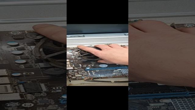 ОПА компобук.... Кто понял? Who understood? смотреть онлайн