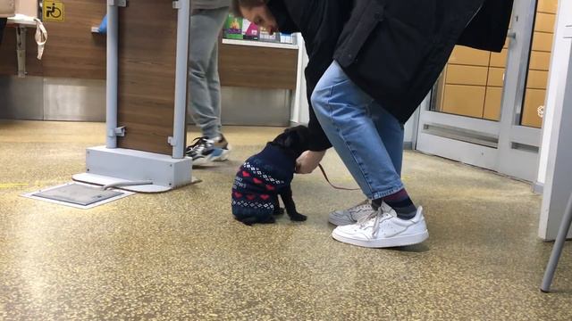 Что нам дает зависть? смотреть онлайн