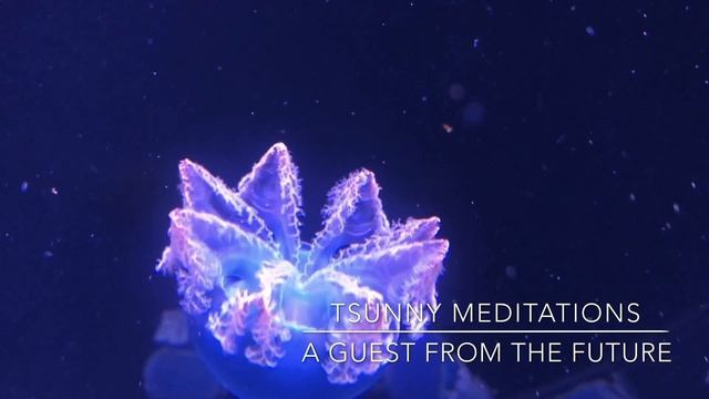 Медитация «ГОСТЬЯ из БУДУЩЕГО» / The Meditation "A GUEST from the FUTURE" смотреть онлайн