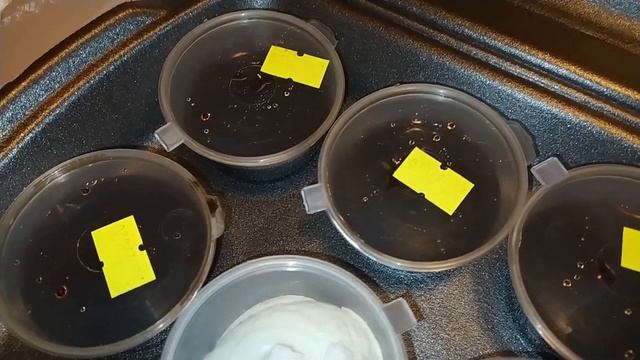 Карты Farfor Mafia + заказ (Ультрасет-new, Том-ям с курицей, Мисо-эби)! смотреть онлайн