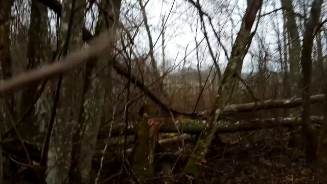 VID 20211116 154231 Переселенцы 1931 (П. Васильев)...Павел Васильев Лахтинский смотреть онлайн