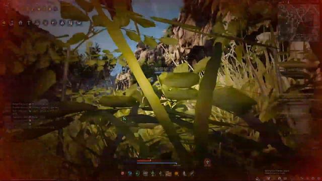 Black Desert online.Летающий Бартер😂😂😂😂😂😂 смотреть онлайн
