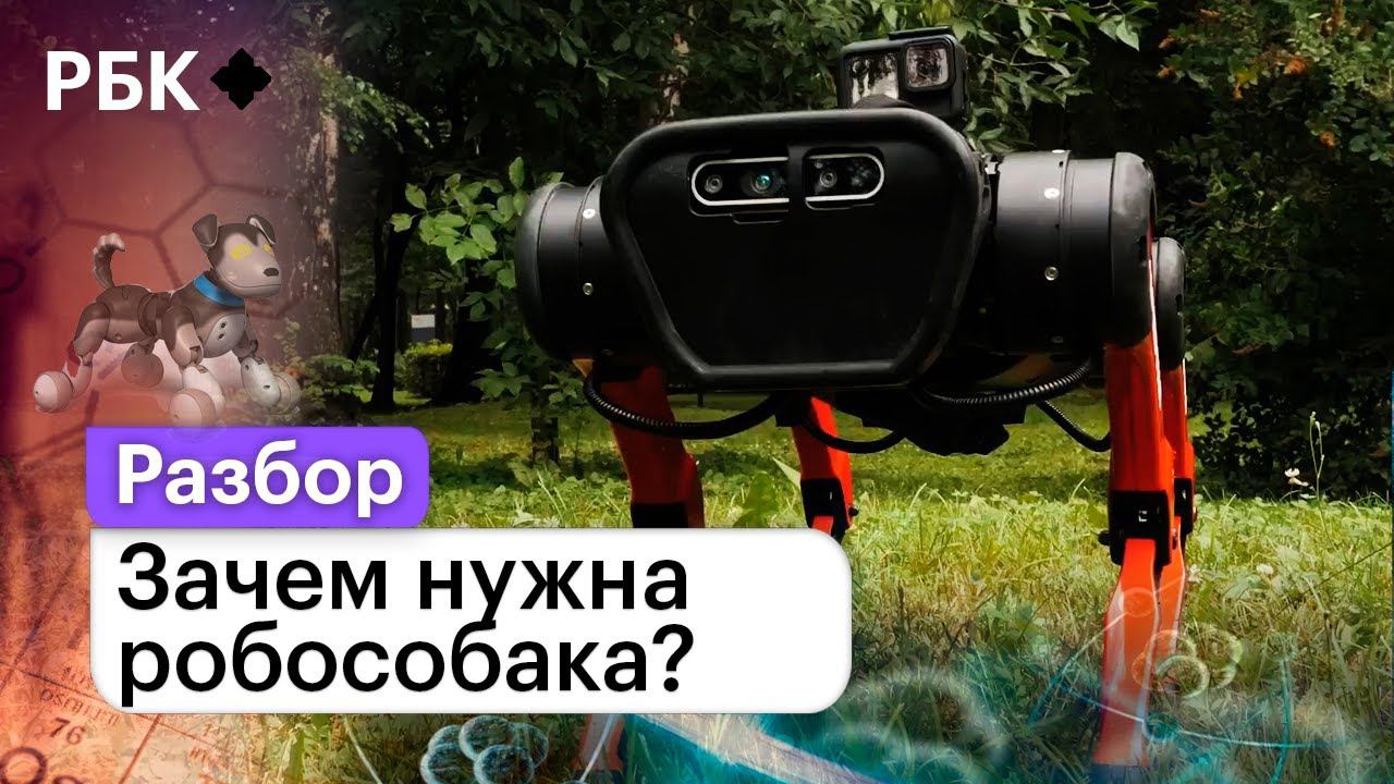 Зачем нужна робособака? Что она может, и чем лучше обычного пса? смотреть онлайн