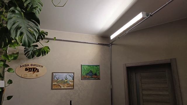 наконец-то перенес освещение фитофильтра смотреть онлайн
