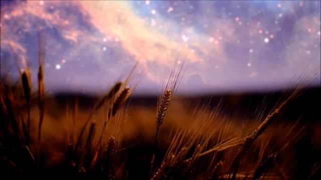 PSALM 12 смотреть онлайн
