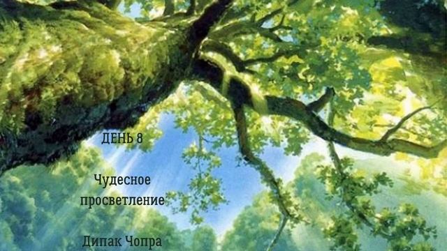 День 9. Чудесное просветление. Дипак Чопра. смотреть онлайн