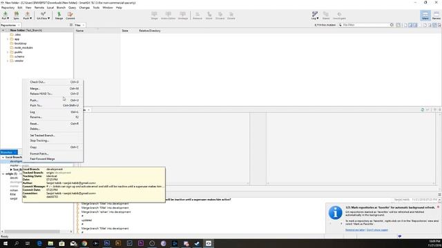 Smart Git Tutorial For New Users смотреть онлайн
