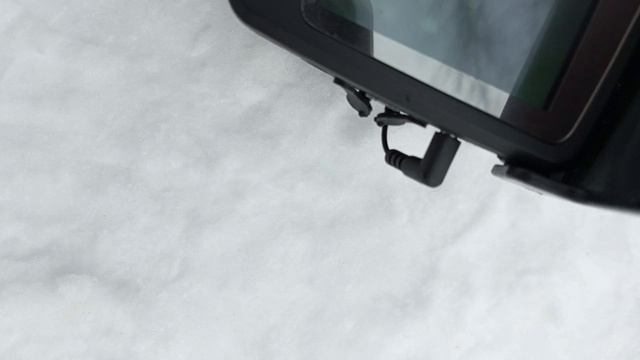 полный прудик рыбы