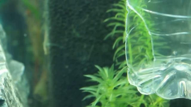 Самодельный реактор СО2 смотреть онлайн