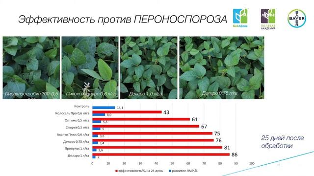 Комплексная защита сои компании Bayer смотреть онлайн