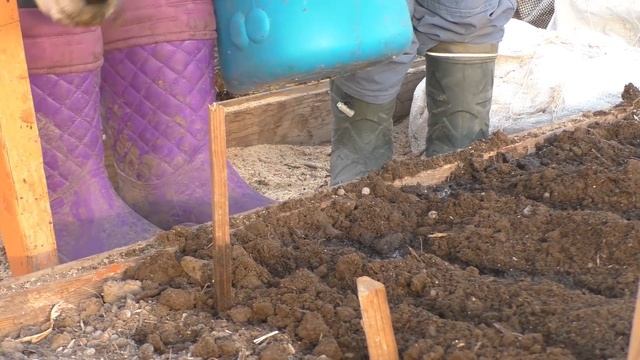 ТАКОГО В ГОРОДЕ НЕТ! ЭТО СЛУЧИЛОСЬ! ДЕРЕВНЮ ЗАТОПИЛО. РАБОТА КИПИТ смотреть онлайн