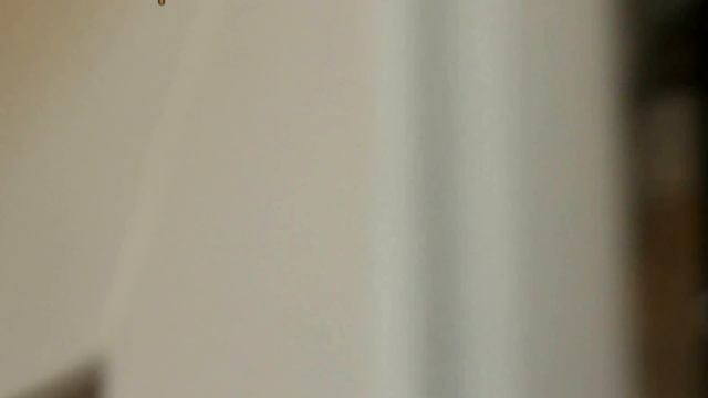 Регулировка металлопластиковых окон и дверей своими руками. смотреть онлайн