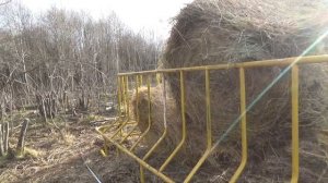 Про кормушки под сено для коров и телят. Сколотили навес для телят.