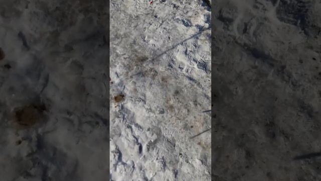 Замена правой подушки двс Лифан х60 2017г.в смотреть онлайн