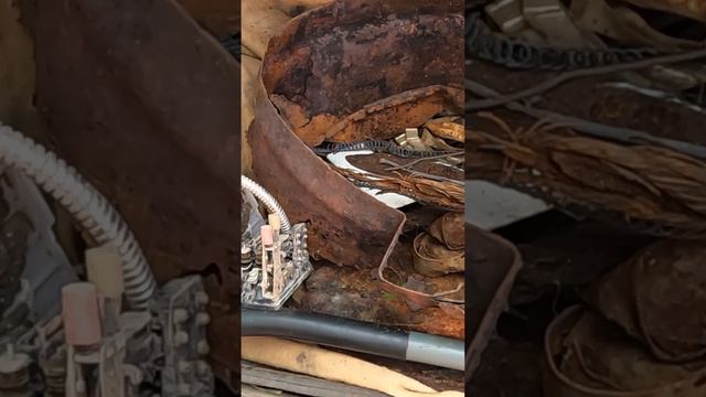 Почистил обочину,заработал монетку! 🪙 смотреть онлайн